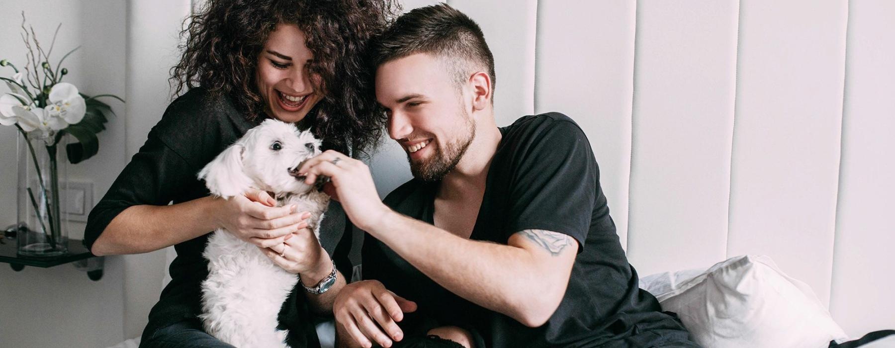 Smiling couple playing with dog in their modern Dallas apartment at Axis Kessler Park